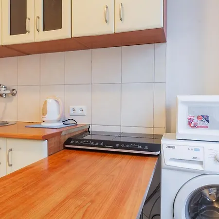 Tarasa Shevchenko Boulevard 10 Apartment *